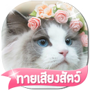 เกมส์ทายเสียงสัตว์ต่างๆ 2566-APK