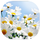 เกมส์ทายชื่อดอกไม้ไทย 2566-APK