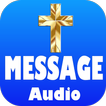 The Message Bible (MSG)