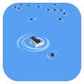 Lake Cleaning