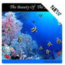 The Beauty Of The Seabed APK