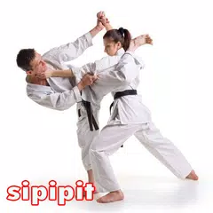 Komplette Martial Arts-Techniken