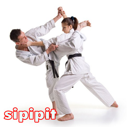 Komplette Martial Arts-Techniken