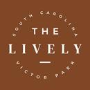 APK The Lively Victor Park