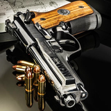 Guns Wallpapers ไอคอน