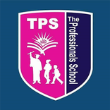The Professionals School