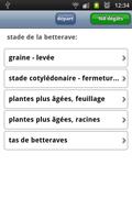 maladies de la betterave screenshot 1