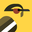 Find the Birds icon