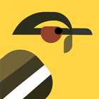 Find the Birds icon