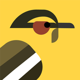 Find the Birds أيقونة