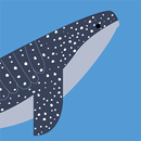Find the Whales: Español APK