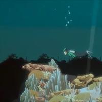 Find the Whales: Español تصوير الشاشة 3