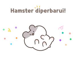 Hamster x Hamster penulis hantaran