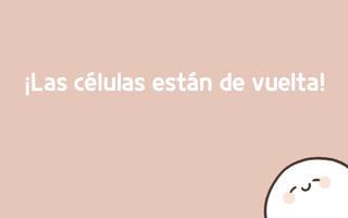 Mis 49 días con células Poster