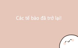49 ngày của tôi với tế bào bài đăng
