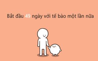 49 ngày của tôi với tế bào ảnh chụp màn hình 3