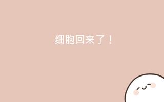 我的49天与细胞 海报