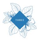 Three Old Town Park APK