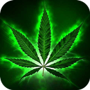 Weed Wallpaper: 4K live APK