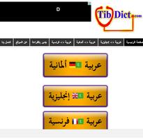 TibDict скриншот 2