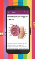 Perkembangan Janin 1-40 minggu poster