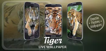 Tigre Sfondi Animati
