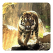 Tigers Live Hintergrund