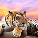 APK Tiger Live Wallpaper