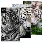 Tiger Wallpaper icône