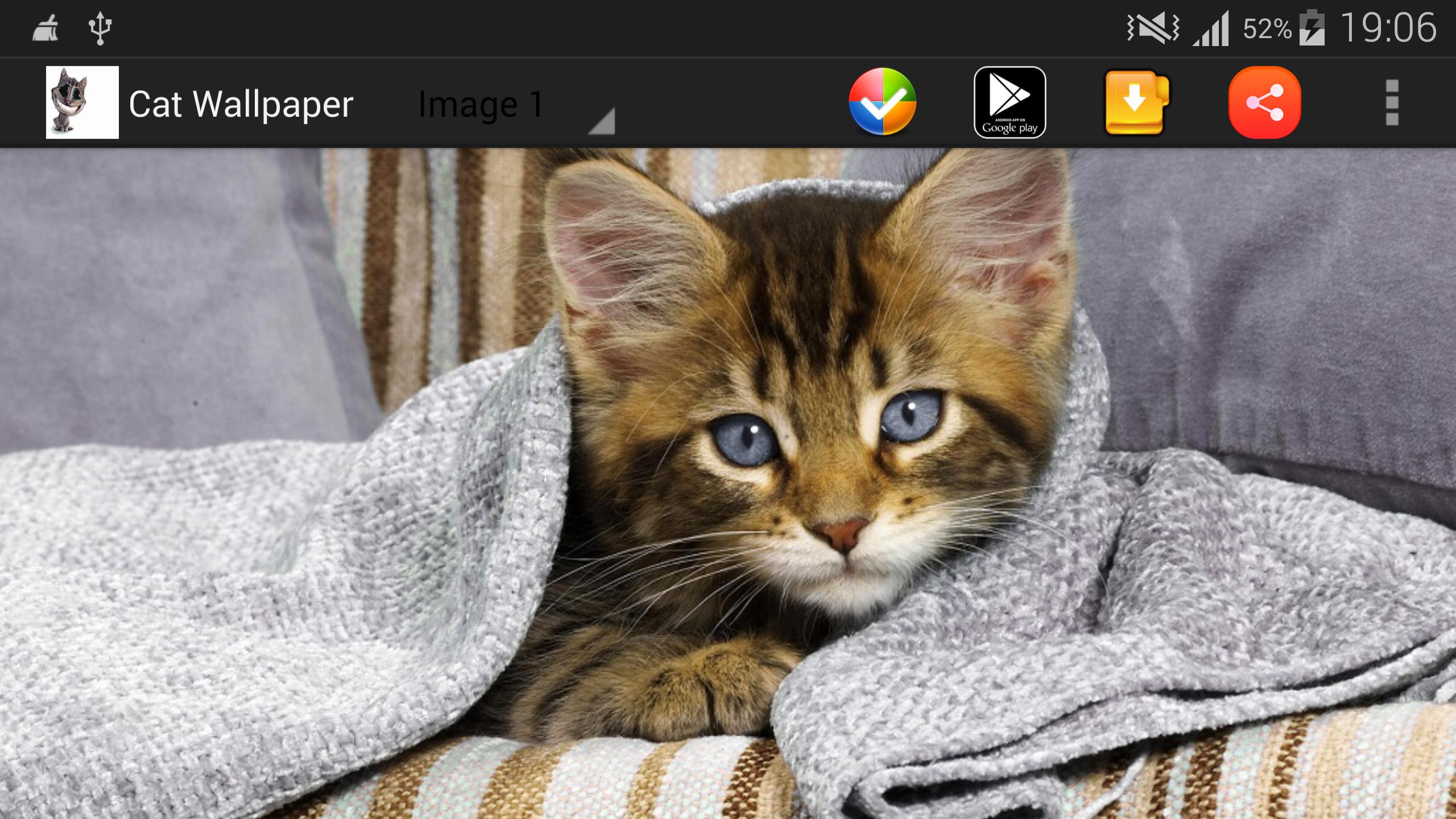 Kedi Duvar Kağıtları for Android APK Download