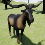 Happy Arapawa Goat Simulator