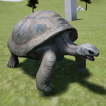 Galapagos Turtle Simulator icon