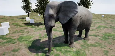 Happy Elephant Simulator