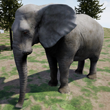 Happy Elephant Simulator