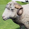 Happy Sheep Simulator APK
