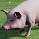 Happy Pig Simulator APK
