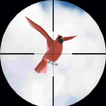 Super Bird Hunter: 3D Sniper 2019