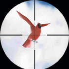 Super Bird Hunter: 3D Sniper 2019 ícone