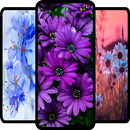 Flower Wallpaper 4K APK