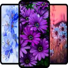 Flower Wallpaper 4K ไอคอน