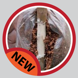 suggerimenti innesti