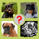 Guess the Dog Breed - Dog Quiz APK