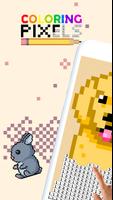 Coloring Pixels poster