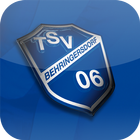 TSV Behringersdorf 06 e.V. icône