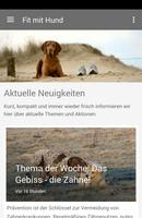 Fit mit Hund Affiche