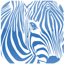 MSV-Frauen APK