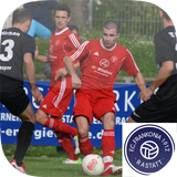 FC Frankonia icon