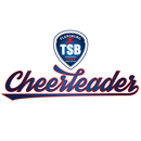 TSB Flensburg Cheerleader APK