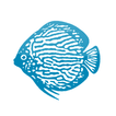 ”Aquarium Glaser GmbH