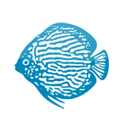 Aquarium Glaser GmbH ícone